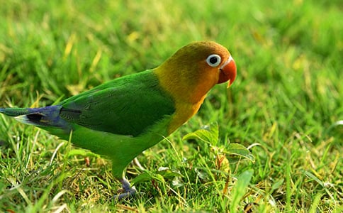 ���W�^������