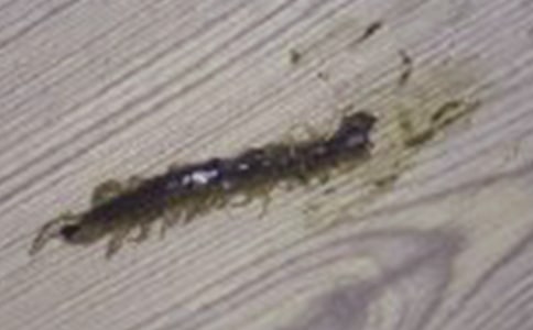 ����w����(y��u)��̰��������·������˼