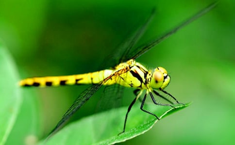 �P(gu��n)�����ѵ�����