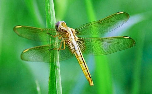 �аࡶ����ͣһ�����ĿƌW(xu��)�̰��O(sh��)Ӌ(j��)