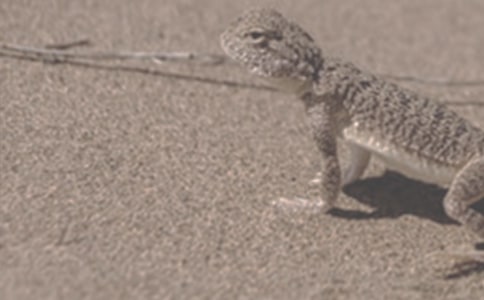 ����΁ţ�x��������һ�ӳ�������