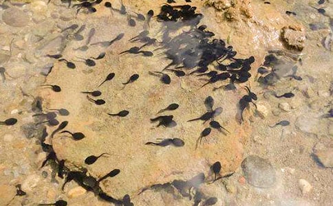 С�������