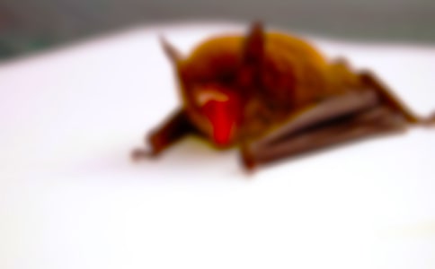 ��������_(d��)�̰�