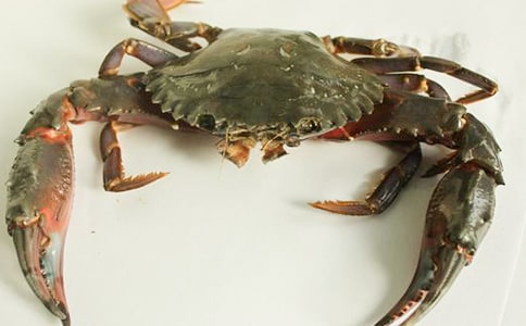 (推薦)捉螃蟹作文15篇