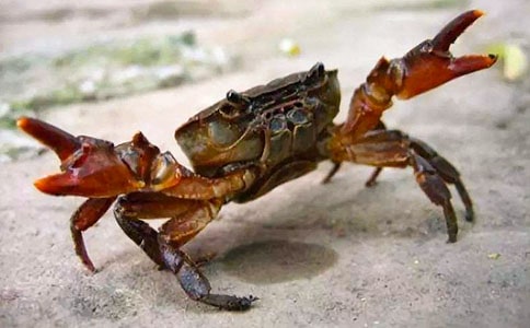 (��Ʒ)�P(gu��n)���з������