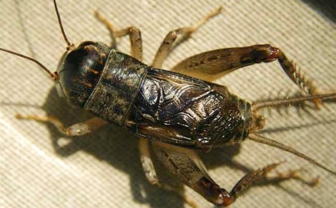 ��߀�l(xi��ng)��(y��u)������