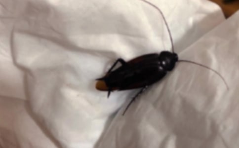 ���Ǳ��´���&mdash;���1000��