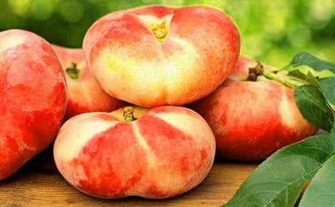 ��������������