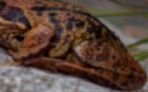 �����������A�����4��(x��)������̥�ӑB(t��i)�^��