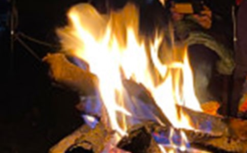 ��ԭ������������ģ�ͨ��33ƪ��