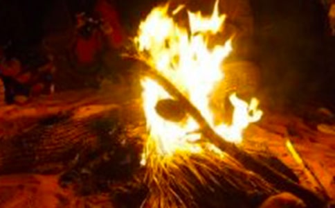 篝火晚會(huì)學(xué)生作文7篇