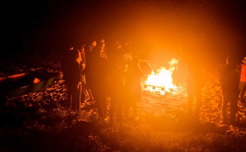 �茑�������������