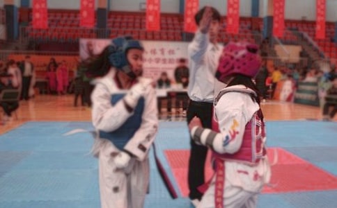 我學跆拳道作文