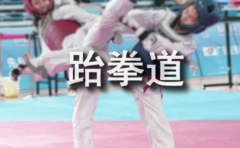 學(xué)跆拳道作文350字