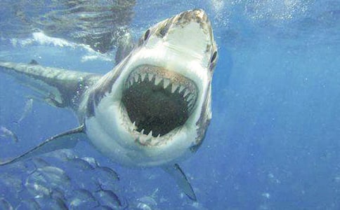 ��-С���~����������