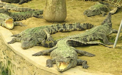 �ܸЄ�(d��ng)���{�~(y��)����