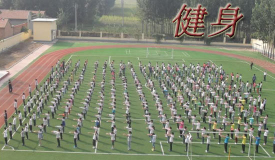 全民健身方案(通用5篇)