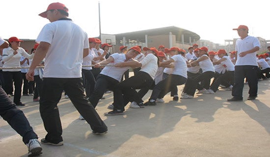 齊心協(xié)力的拔河比賽的作文350字